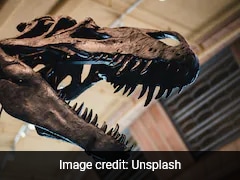 Researchers Study Prehistoric CO2 Levels After Reconstructing Air From Dinosaur Teeth