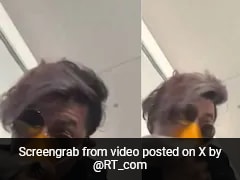 Video: Paris-Bound Flight Makes Emergency Landing After Bird Hits Plane Nose