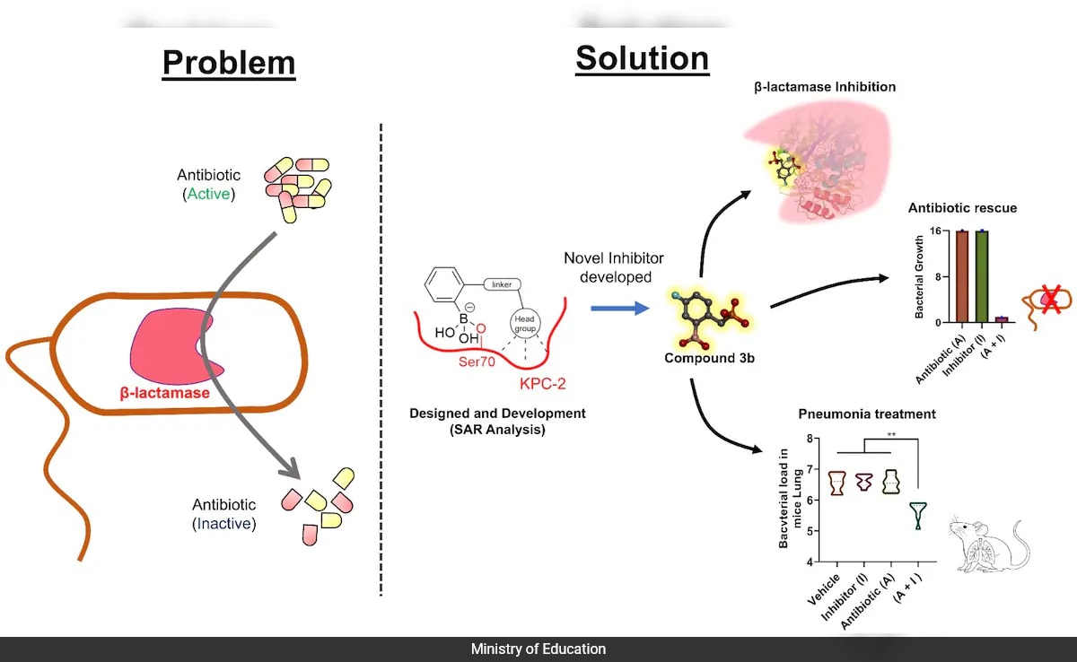 изследователи от Индийския технологичен институт Roorkee са разработили нов кандидат