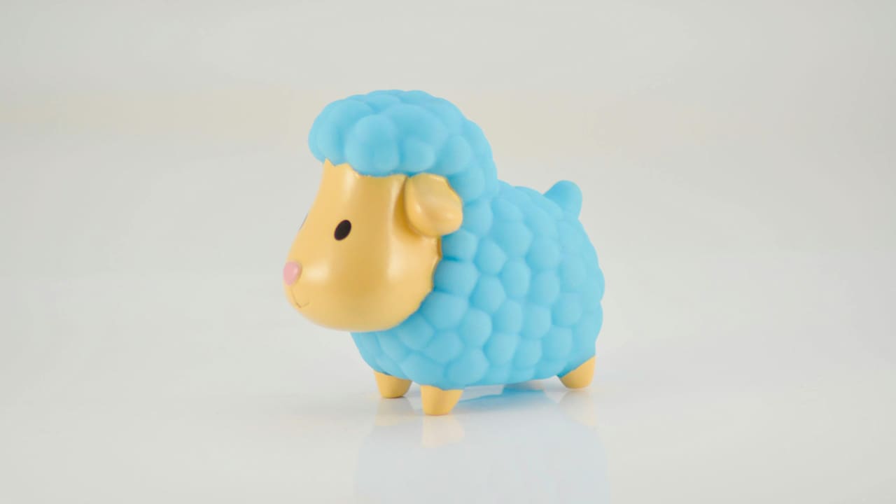 What Are the Best Baby Bath Toys Under 1000 You Can Buy Today