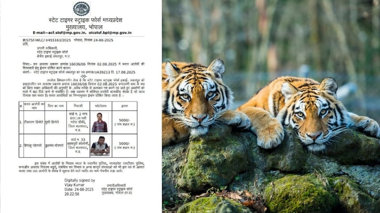 डिप्टी रेंजर और वनरक्षक पर 5-5 हजार रुपये का इनाम घोषित, बाघ की रहस्यमयी मौत के बाद दोनों फरार