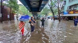 Thane School College Holiday:  ठाण्यातील शाळा, कॉलेजना उद्या सुट्टी, शिक्षकांना मात्र कामावर यावेच लागणार
