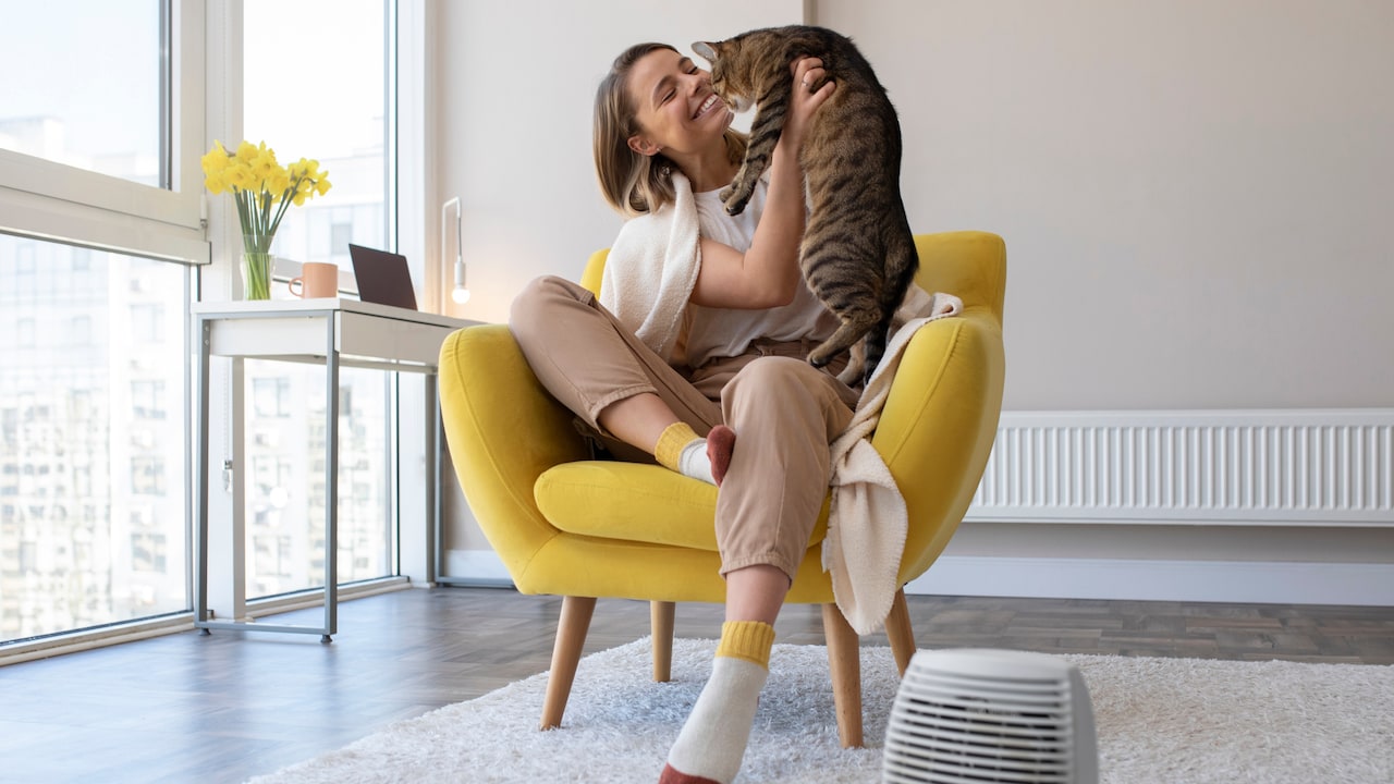 5 Best Dehumidifiers In India For Home Use: Banish Humidity This Way