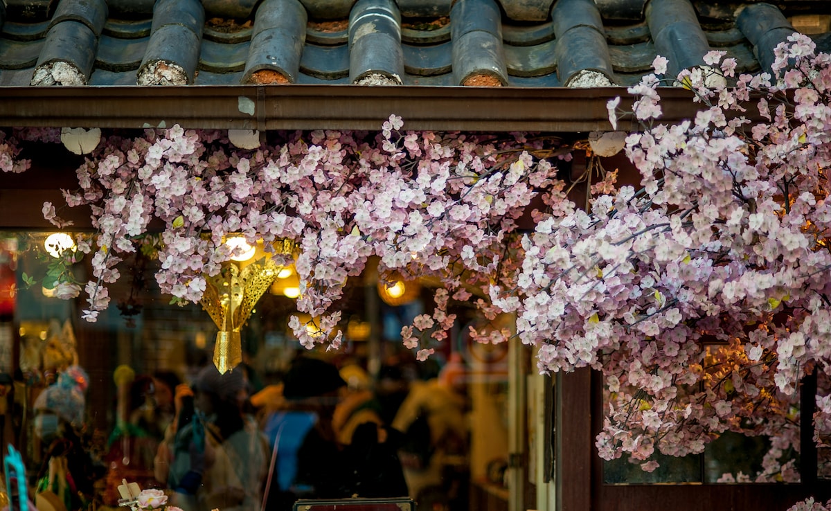 South Korea is increasingly gaining popularity among Indians South Korea is increasingly gaining popularity among Indians