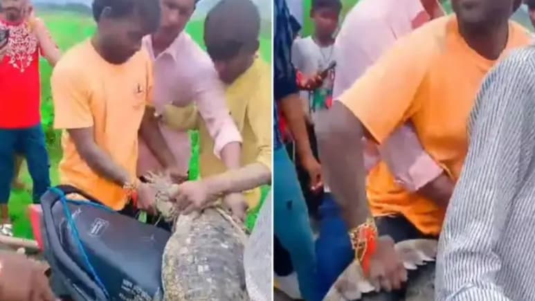 भाई रेस्क्यू किया है या किडनैप? बाइक पर मगरमच्छ का अनोखा रेस्क्यू, देख लोग बोले- ये सिर्फ यूपी में ही संभव है