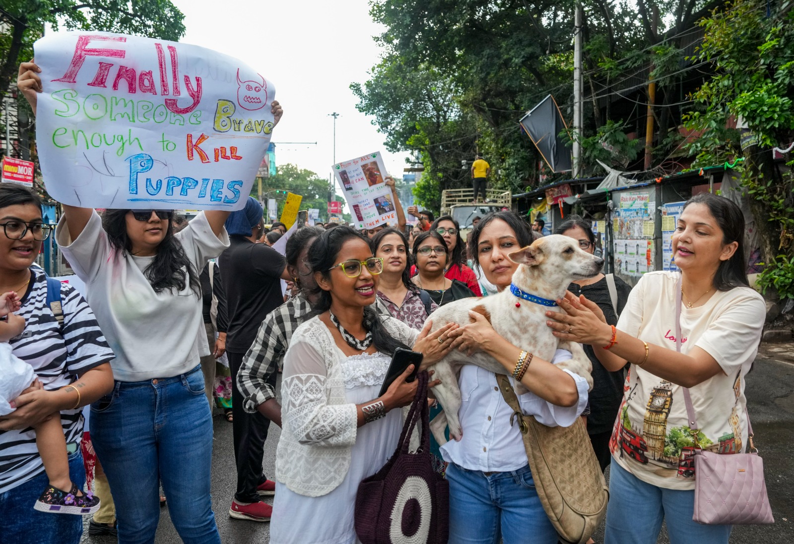 पब्लिक प्लेस पर अब कुत्तों को खाना नहीं खिला सकते... पढ़िए सुप्रीम कोर्ट ने डॉग लवर्स के लिए खींची क्या रेड ला