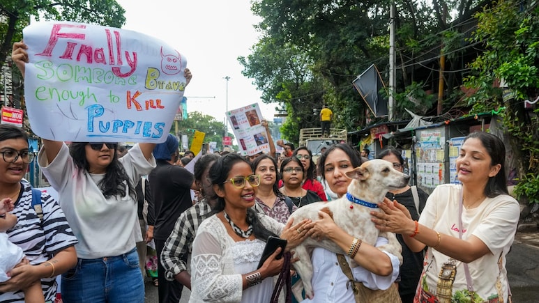 पब्लिक प्लेस पर अब कुत्तों को खाना नहीं खिला सकते... पढ़िए सुप्रीम कोर्ट ने डॉग लवर्स के लिए खींची क्या रेड लाइन