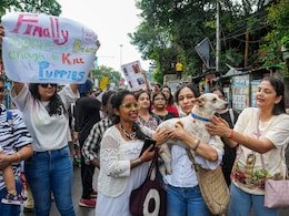 पब्लिक प्लेस पर अब कुत्तों को खाना नहीं खिला सकते... पढ़िए सुप्रीम कोर्ट ने डॉग लवर्स के लिए खींची क्या रेड लाइन पब्लिक प्लेस पर अब कुत्तों को खाना नहीं खिला सकते... पढ़िए सुप्रीम कोर्ट ने डॉग लवर्स के लिए खींची क्या रेड लाइन