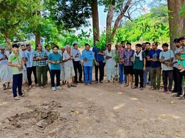 Rajasthan: करीब 150 साल पहले करौली में फेमस था आम का बगीचा, युवाओं ने जीवित करने का लिया संकल्प