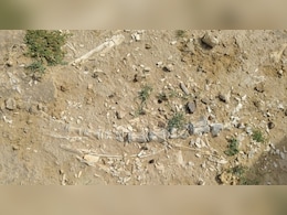 जैसलमेर में मिले जीवाश्म के रहस्य का वैज्ञानिकों ने लगाया पता, 200 म‍िल‍ियन वर्ष है पुराना