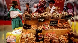 Evolutionary Origins Of Potato Revealed. And A Tomato Was Involved
