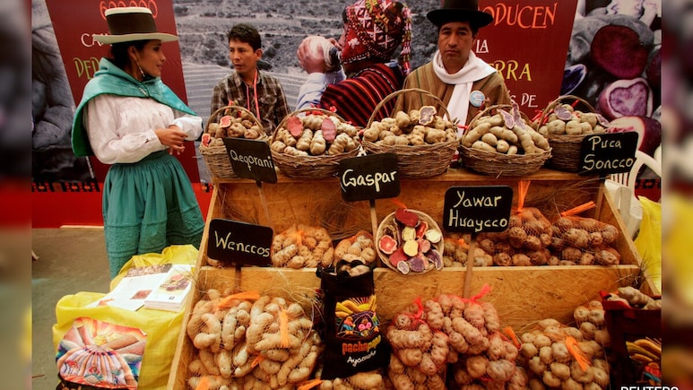 Evolutionary Origins Of Potato Revealed. And A Tomato Was Involved
