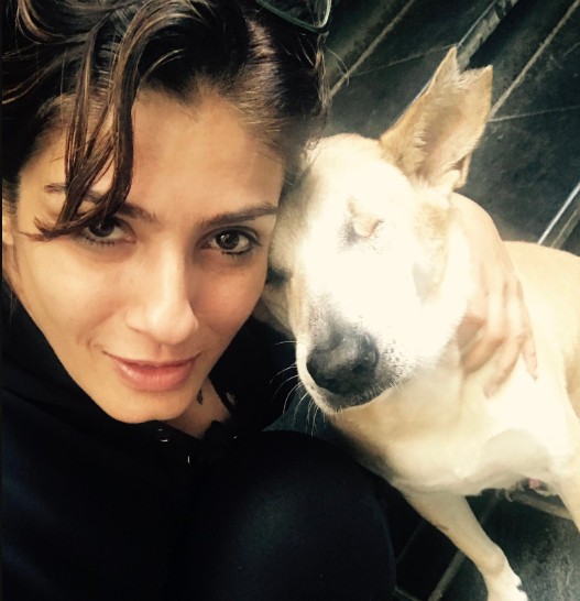 "This Is Ridiculous": Raveena Tandon To NDTV On Supreme Court Order To Relocate Stray Dogs In Delhi-NCR
