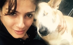 "This Is Ridiculous": Raveena Tandon On Supreme Court's Stray Dog Order