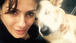 "This Is Ridiculous": Raveena Tandon To NDTV On Supreme Court Order To Relocate Stray Dogs In Delhi-NCR