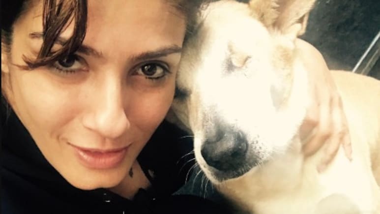 "This Is Ridiculous": Raveena Tandon To NDTV On Supreme Court Order To Relocate Stray Dogs In Delhi-NCR