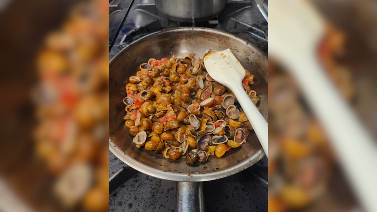 मशरूम क्यों खानी चाहिए?