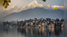 कमी बजेटमध्ये परदेशात फिरण्याची संधी, 7 दिवसांची ट्रिप, फक्त 'एवढाच' खर्च