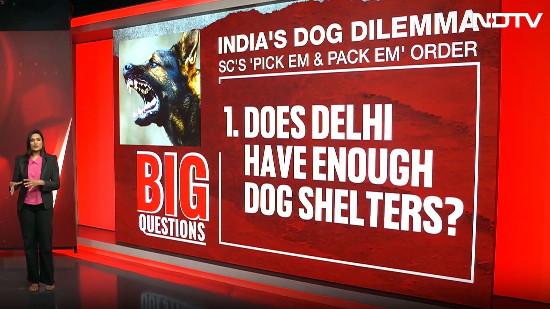 Video: Can Delhi Meet The 8-Week Deadline To Relocate Stray Dogs?