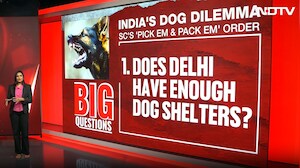 Can Delhi Meet The 8-Week Deadline To Relocate Stray Dogs?