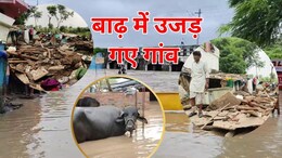 Shivpuri Flood Situation: उजड़ गए गांव के गांव... किसानों की फसल चौपट, बाढ़ से तबाही की खौफनाक तस्वीरें
