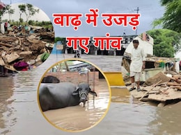 Shivpuri Flood Situation: उजड़ गए गांव के गांव... किसानों की फसल चौपट, बाढ़ से तबाही की खौफनाक तस्वीरें Shivpuri Flood Situation: उजड़ गए गांव के गांव... किसानों की फसल चौपट, बाढ़ से तबाही की खौफनाक तस्वीरें