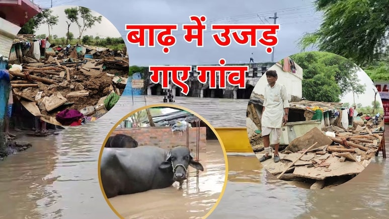 Shivpuri Flood Situation: उजड़ गए गांव के गांव... किसानों की फसल चौपट, बाढ़ से तबाही की खौफनाक तस्वीरें Shivpuri Flood Situation: उजड़ गए गांव के गांव... किसानों की फसल चौपट, बाढ़ से तबाही की खौफनाक तस्वीरें