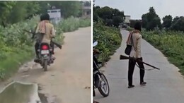 VIDEO: राजस्थान में कुत्तों के आतंक के बाद... 25 कुत्तों की गोली मारकर हत्या, वजह हैरान कर देगी