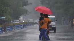 Weather Alert: राजस्&zwj;थान में झमाझम बार&zwj;िश का अलर्ट, जानें अपने ज&zwj;िले के मौसम का हाल