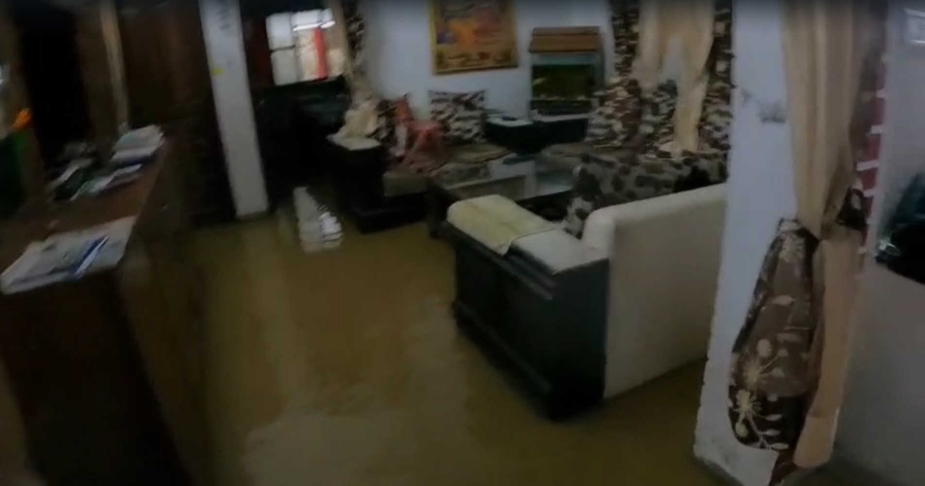 Home Or Pond? Dehradun Residents Struggle After Rainwater Gushes In