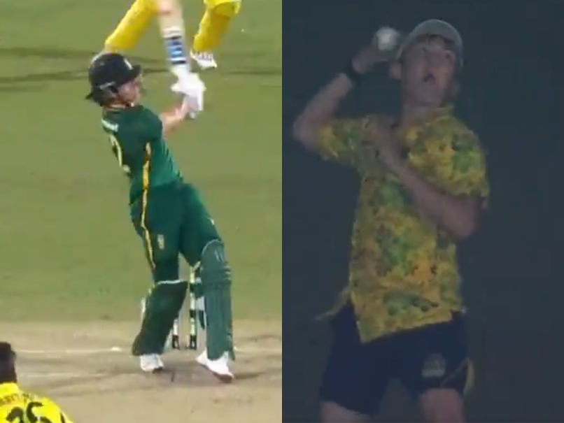 Watch: Spectator's Prank After Brevis' Six During Aus-SA 3rd ODI Viral