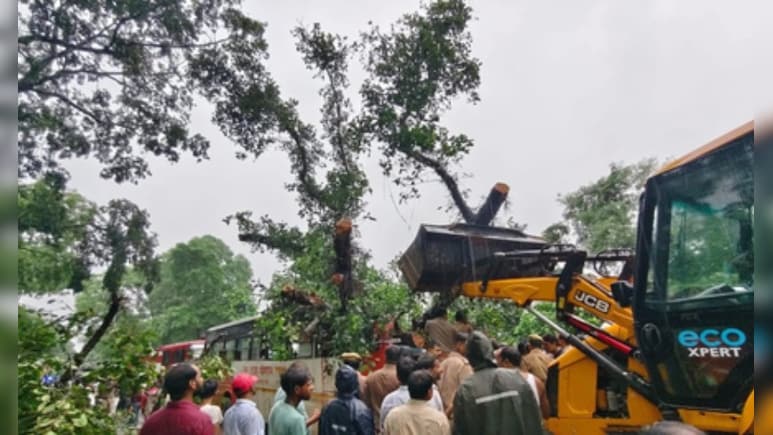 यूपी के बाराबंकी में रोडवेज बस पर गिरा पेड़, ड्राइवर समेत 5 की मौत यूपी के बाराबंकी में रोडवेज बस पर गिरा पेड़, ड्राइवर समेत 5 की मौत