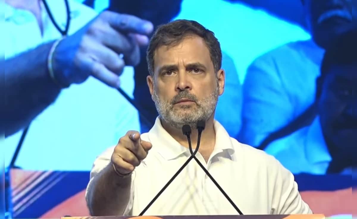"Perpetual Youth": BJP Rips Into Rahul Gandhi Over Voter List Allegations