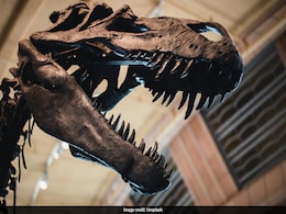 Researchers Study Prehistoric CO2 Levels After Reconstructing Air From Dinosaur Teeth Researchers Study Prehistoric CO2 Levels After Reconstructing Air From Dinosaur Teeth