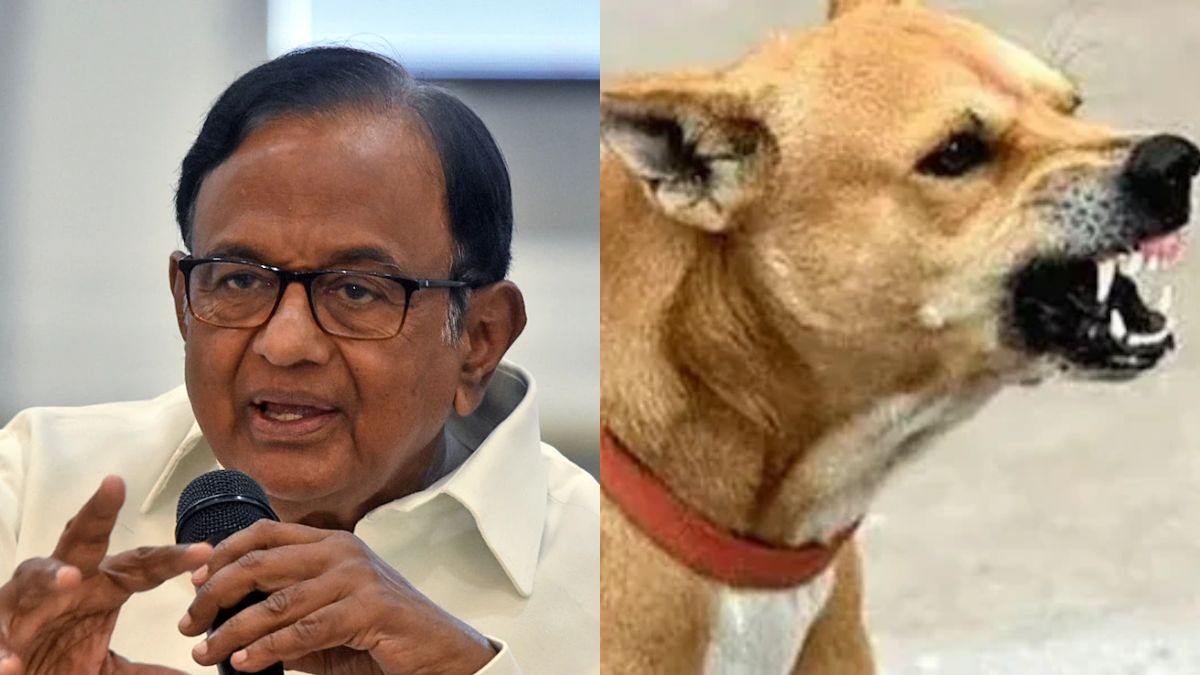 "Streets Must Be Safe": P Chidambaram Backs Top Court's Stray Dogs Order