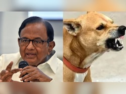 &quot;Streets Must Be Safe&quot;: P Chidambaram Backs Top Court&#039;s Stray Dogs Order