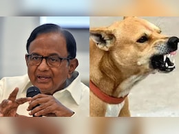 "Streets Must Be Safe": P Chidambaram Backs Top Court's Stray Dogs Order "Streets Must Be Safe": P Chidambaram Backs Top Court's Stray Dogs Order