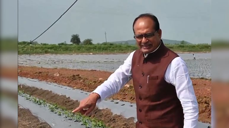Rajasthan: मध्य प्रदेश के खेत में खराब हुई फसल तो राजस्थान की कंपनी पर गिरी गाज, शिवराज सिंह चौहान का एक्शन