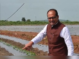 Rajasthan: मध्य प्रदेश के खेत में खराब हुई फसल तो राजस्थान की कंपनी पर गिरी गाज, शिवराज सिंह चौहान का एक्शन Rajasthan: मध्य प्रदेश के खेत में खराब हुई फसल तो राजस्थान की कंपनी पर गिरी गाज, शिवराज सिंह चौहान का एक्शन