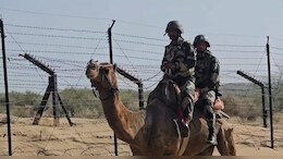 5 साल में ऊंटों की BSF में होती है भर्ती, 16 साल में हो जाते हैं र&zwj;िटायर; बर्थ सर्टिफ&zwj;िकेट के ब&zwj;िना ऐसे परखी जाती है उम्र