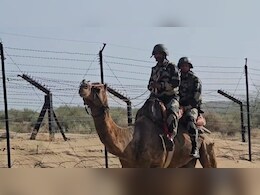 5 साल में ऊंटों की BSF में होती है भर्ती, 16 साल में हो जाते हैं रिटायर; बर्थ सर्टिफिकेट के बिना ऐसे परखी जाती है उम्र 5 साल में ऊंटों की BSF में होती है भर्ती, 16 साल में हो जाते हैं रिटायर; बर्थ सर्टिफिकेट के बिना ऐसे परखी जाती है उम्र