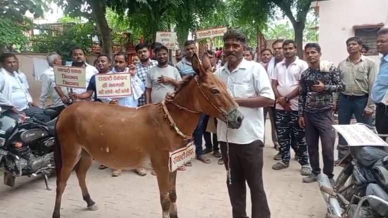 सैंडस्टोन रॉयल्टी विवाद: बयाना में ठप पड़ा 50000 लोगों का काम, गधों के गले में तख्तियां डालकर भेजा सख्त संदेश