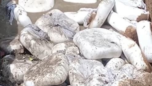 Ahead Of Festive Season, Food Authority Busts Fake Paneer, Unsafe Milk In UP And Jharkhand