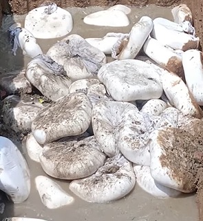 Ahead Of Festive Season, Food Authority Busts Fake Paneer, Unsafe Milk In UP And Jharkhand