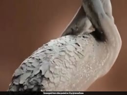 UK Bans Sanex Shower Gel Ad Over Racial Stereotyping UK Bans Sanex Shower Gel Ad Over Racial Stereotyping