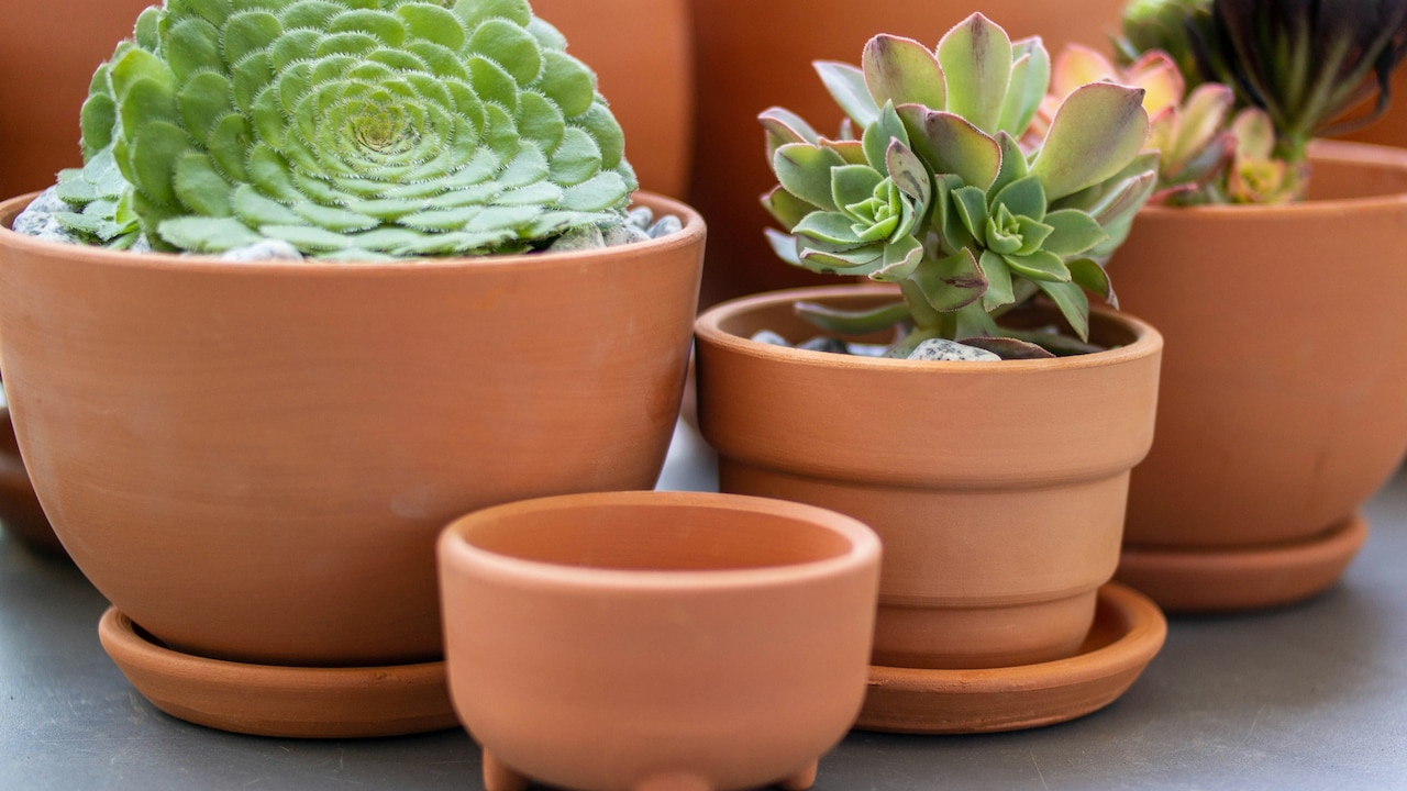 Keep Your Home Surroundings Healthier With Pots And Planters From Amazon.