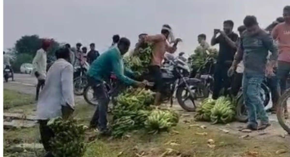 बाइक पर लूट ले गए केला. बाइक पर लूट ले गए केला.