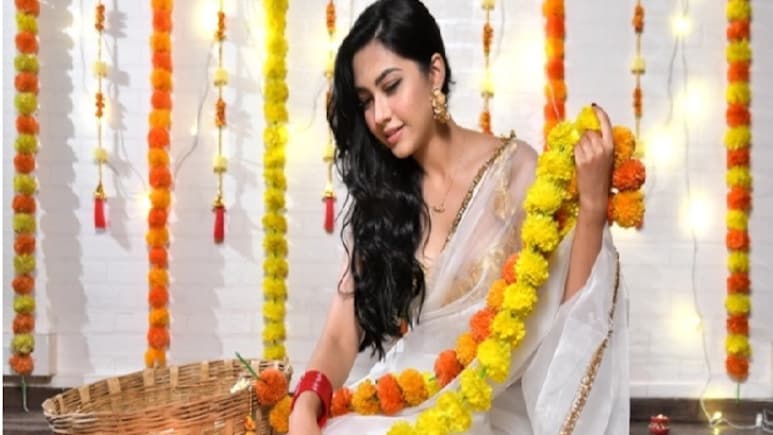 रीम शेख की 10 खूबसूरत तस्वीरें, 5वीं देख कर कहेंगे- मीना कुमारी रीम शेख की 10 खूबसूरत तस्वीरें, 5वीं देख कर कहेंगे- मीना कुमारी