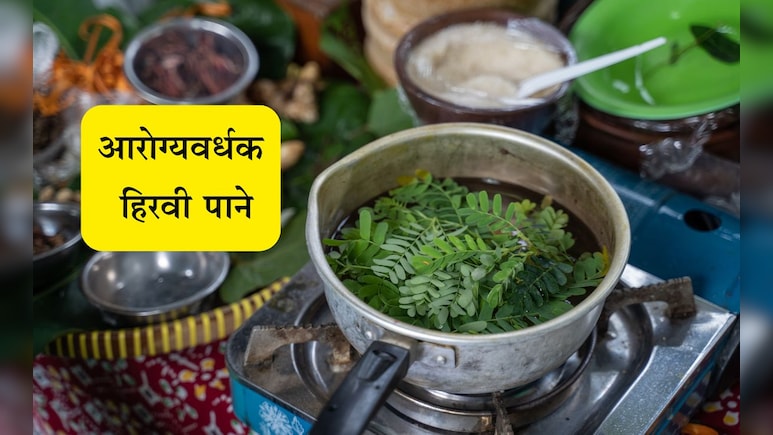 सकाळी रिकाम्या पोटी चावून खा ही छोटी-छोटी पाने, स्पर्शही करणार नाही या 4 गंभीर समस्या
