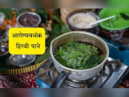 सकाळी रिकाम्या पोटी चावून खा ही छोटी-छोटी पाने, स्पर्शही करणार नाही या 4 गंभीर समस्या सकाळी रिकाम्या पोटी चावून खा ही छोटी-छोटी पाने, स्पर्शही करणार नाही या 4 गंभीर समस्या